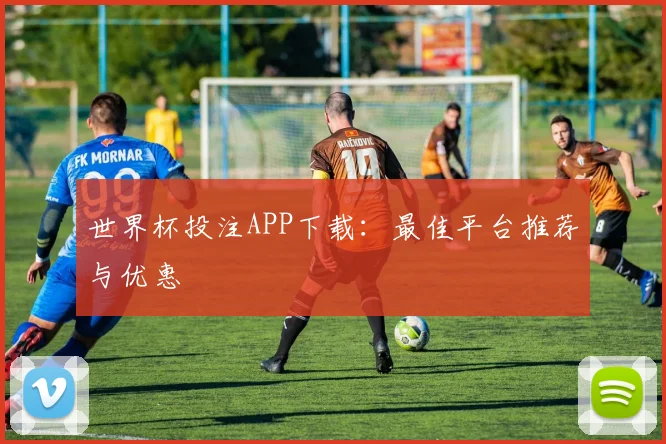 世界杯投注APP下载：最佳平台推荐与优惠